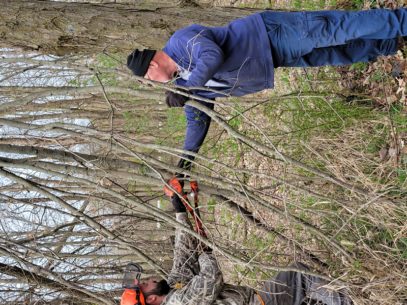 /pictures/Trail Maintenance 2021/20210418_083926.jpg